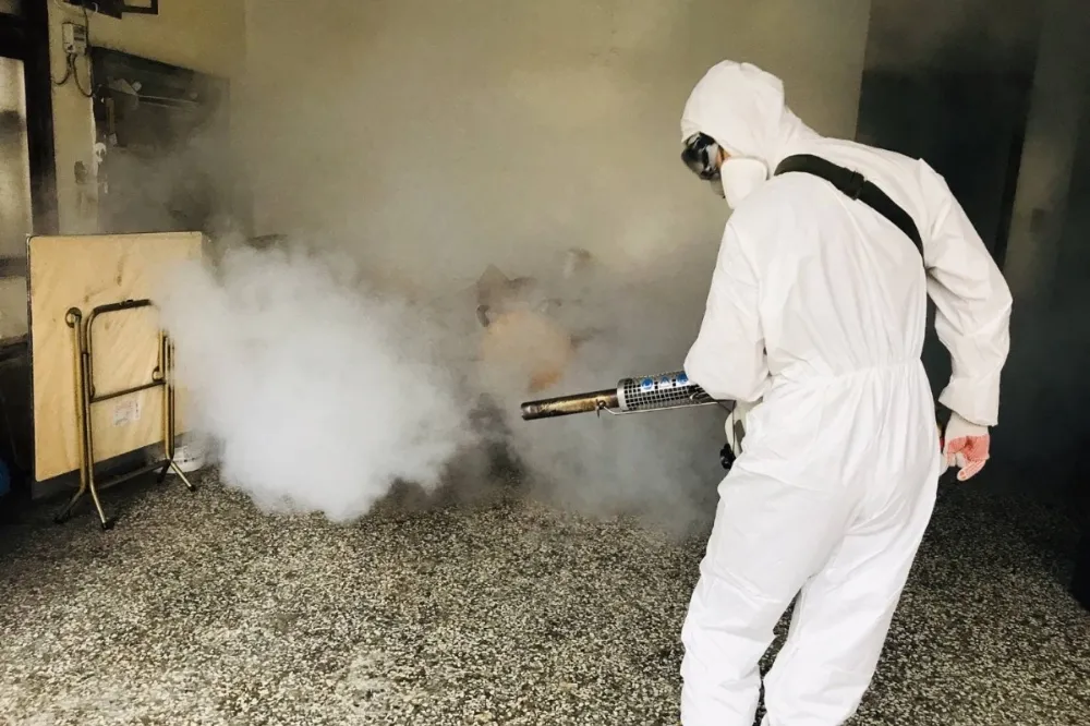 登革熱恐破2015年3.7萬例　前疾管局長憂：醫療量能非地方政府能負荷