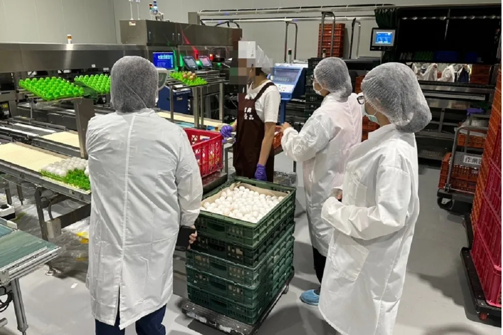 不只巴西還有澳洲、土耳其蛋「報廢待銷毀」　信興蛋品拿不出進銷數量流向可重罰300萬　