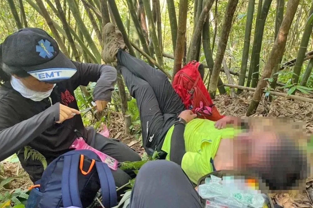 瑞芳登山團遭蜂螫2死兇手是黃腳虎頭蜂　自救保命一次看