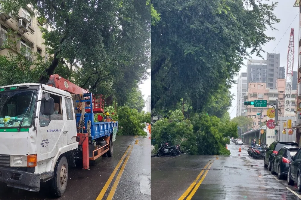 中颱小犬還沒來已釀災　台北、台中發生多起路樹倒塌