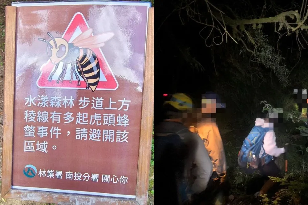虎頭蜂螫人2天連4起！新北燦光寮步道2人搶救　攀水漾森林逢甲大學登山社10人送醫