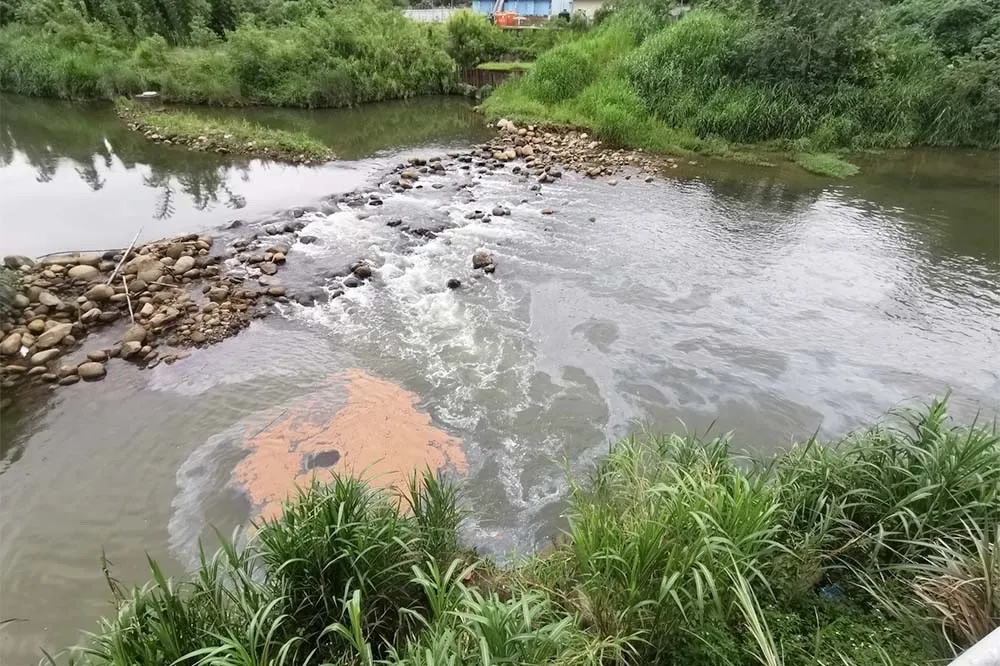 艾斯巴達污染鳳山溪未繳近千萬罰鍰　遭強制執行