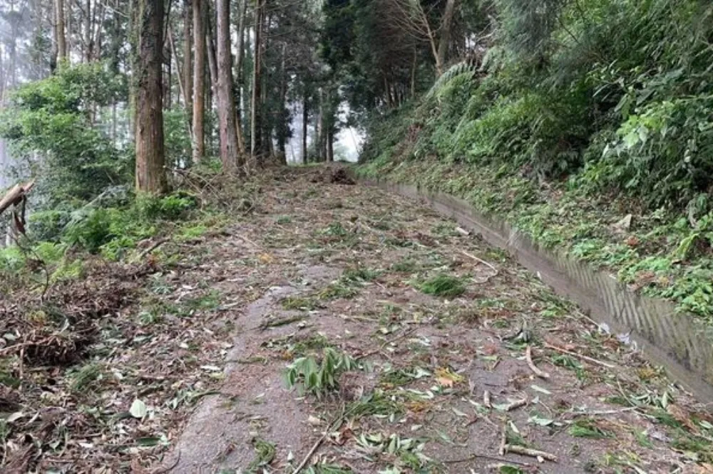山友注意！南投郡大林道受颱風襲擊多處坍方　搶修期間3時段管制放行