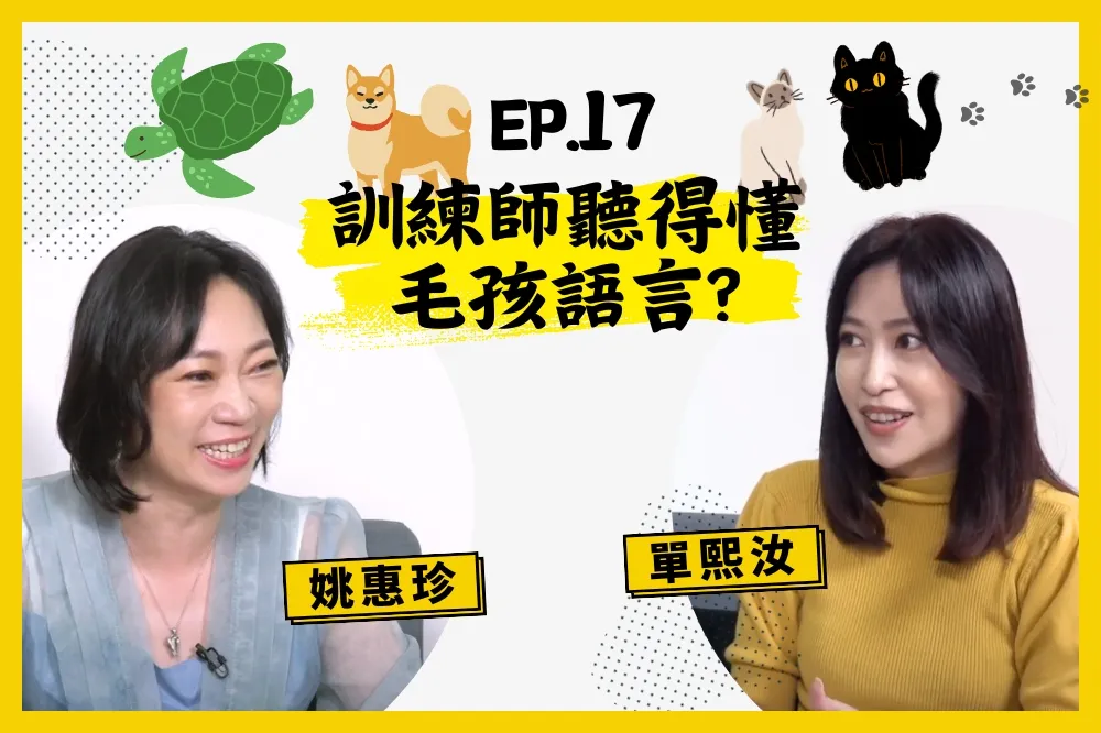 【人生逍姚遊】EP17 不在家就搗蛋？寵物訓練師教你如何用愛修復壞掉的關係