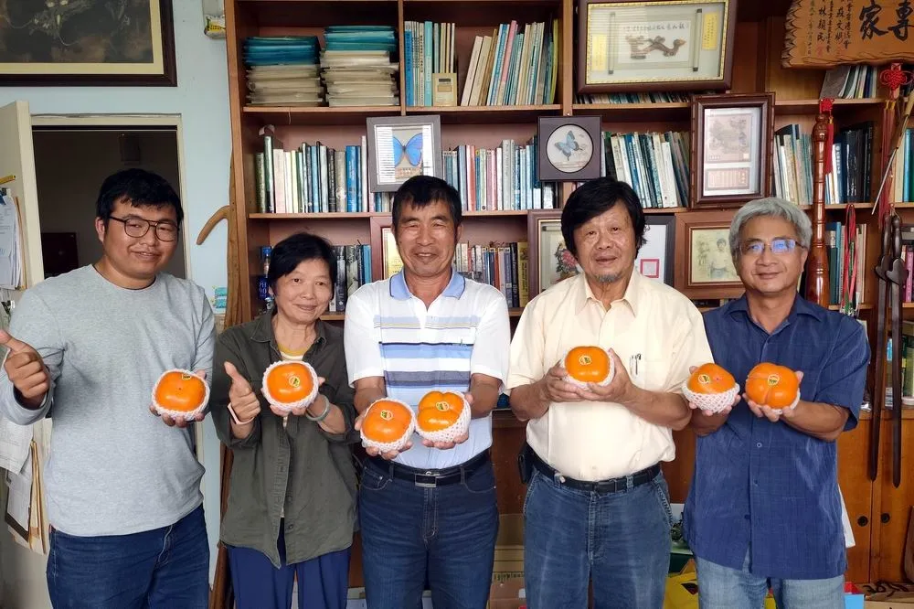 果然有好「柿」！興大輔導柿農挺過氣侯異常危機奇貨可居