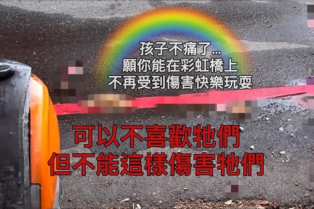 太殘忍！小橘貓慘遭「切成三段」監視器畫面曝光　抓到兇手「不是人」