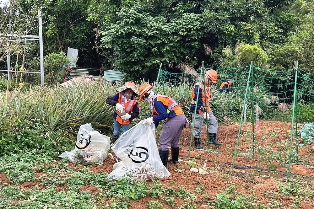 登革熱再增5死！最短發病4天過世　新北累計近百例五股最多