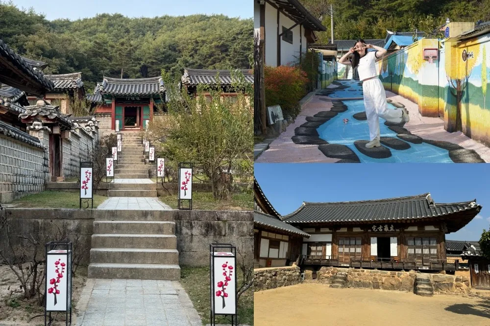 【韓國景點推薦】安東一日遊攻略！「河回村」看百年村落、假面舞　陶山書院賞楓
