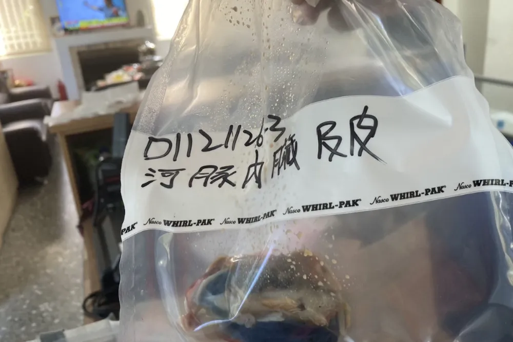 真要命！煮河豚火鍋、生魚片宴請友人　廚師死亡8人中毒　