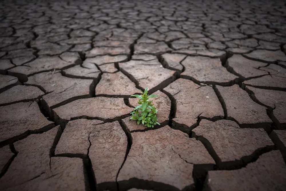 【有片】有史以來最熱！2023年全球升溫將達1.4°C  