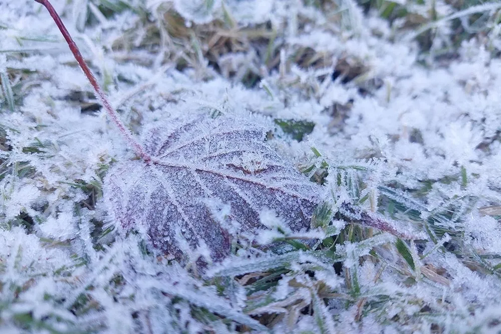 濕冷天氣持續至周四　今晚明晨逾3500公尺高山有機會降雪
