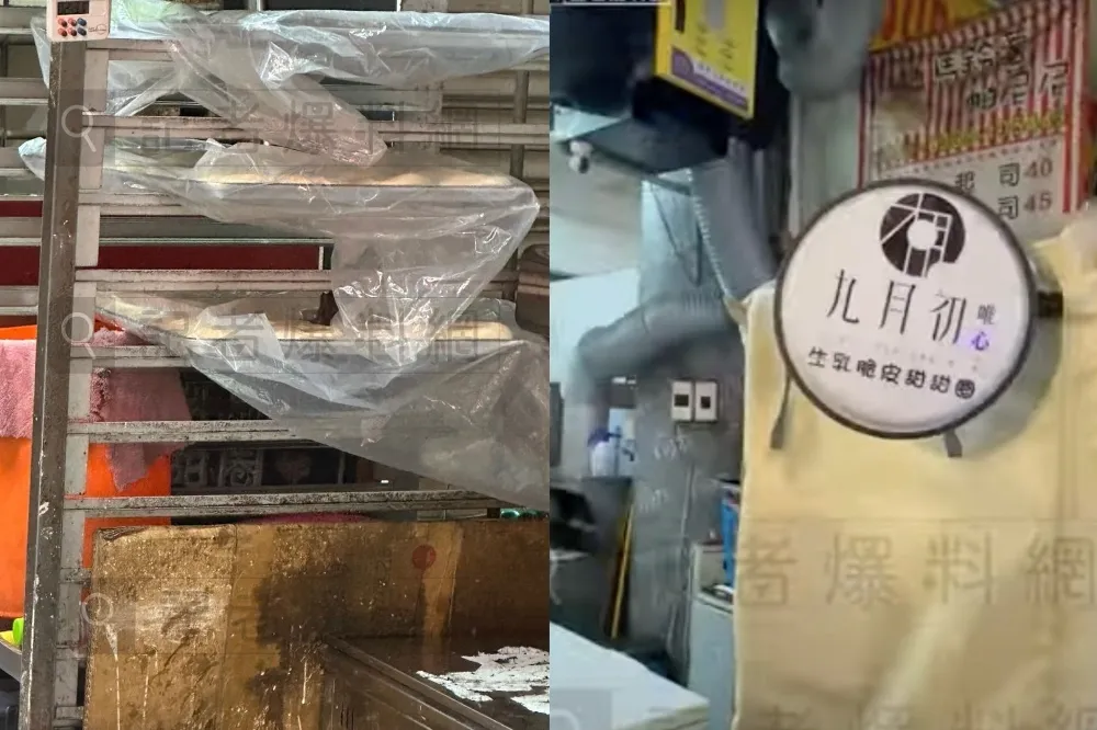 台中一中知名甜甜圈店爆「老鼠吃麵團」　業者喊冤、市府稽查出6項缺失