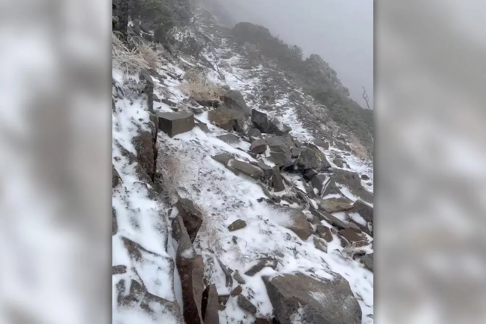【好冷片】雪山下雪了！「白茫茫一片」山友好驚喜　369營地初雪畫面曝光