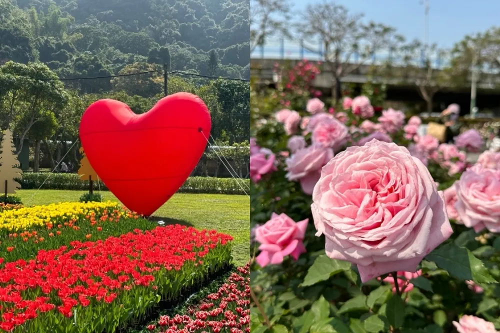 台北賞花 2024「花 IN 台北」攻略！北投三層崎花海 2 月回歸　士林官邸鬱金香展「這時」登場