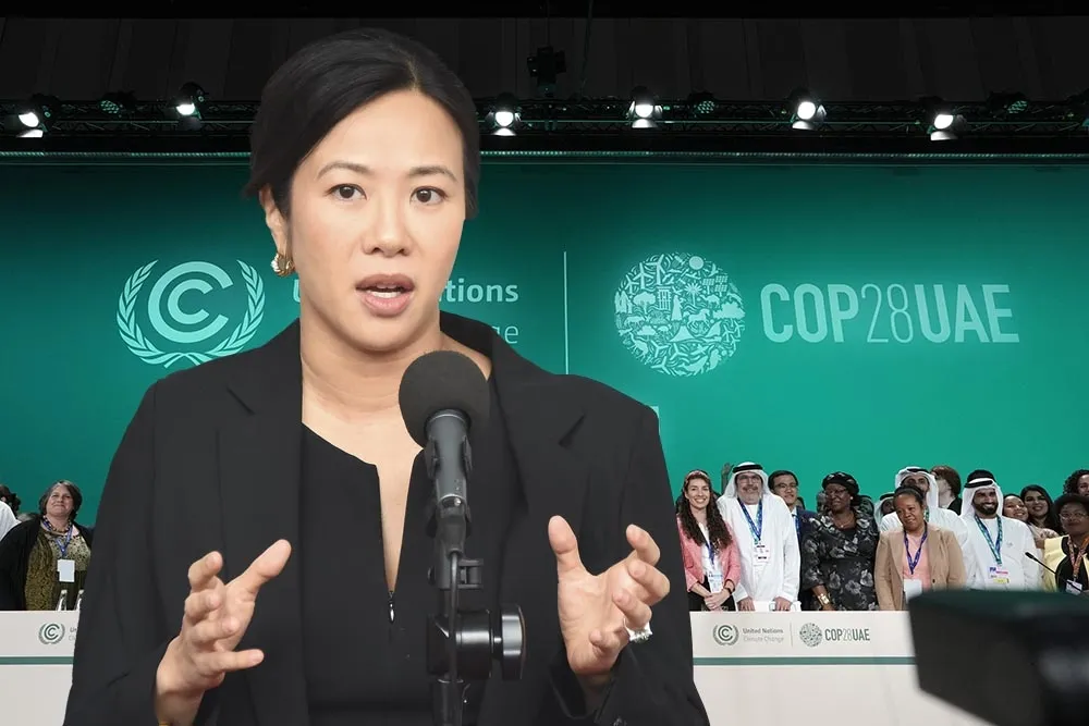 吳欣盈爆聯合國官員怒責背叛　涉外人士：更擔憂影響未來參與