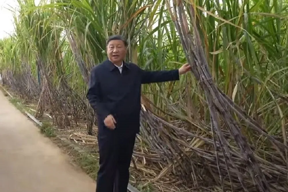 洪耀南：「習大大摸過的甘蔗」要收費的時代