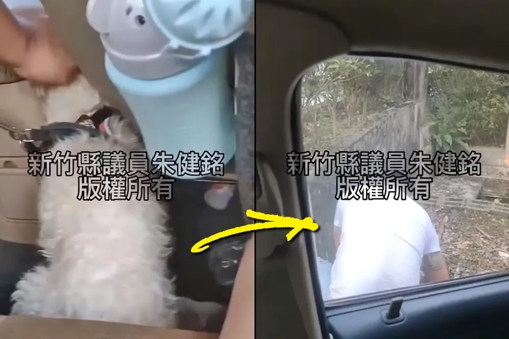 家暴夫在妻兒面前虐殺愛犬　領養6狗3貓全失蹤「只留一根沾毛血鐵棍」