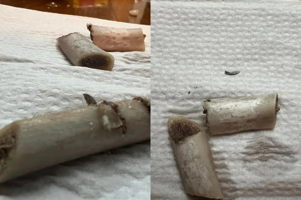 驚悚！豬排骨卡刀片害10歲童舌頭刺傷　好市多：釐清異物來源