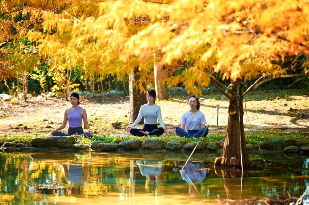 養生旅遊正夯！「台灣國際瑜伽療癒節」4 月花蓮登場　集結美食、音樂與冥想體驗