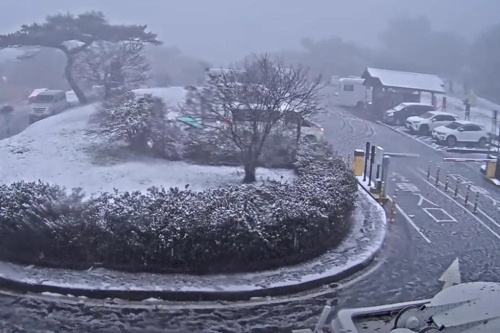 【線上追雪懶人包】要上班沒關係！陽明山、太平山、合歡山　下雪直播一次看