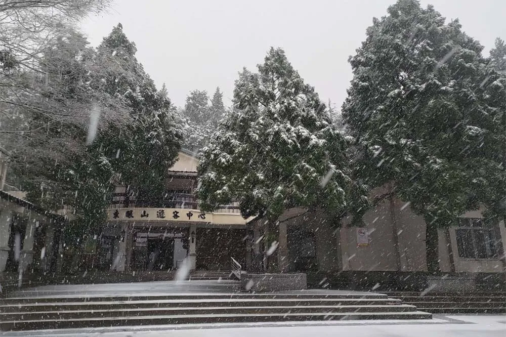 【不斷更新】追雪懶人包在這　交通管制、各地降雪範圍、雪鏈怎麼裝一次看懂
