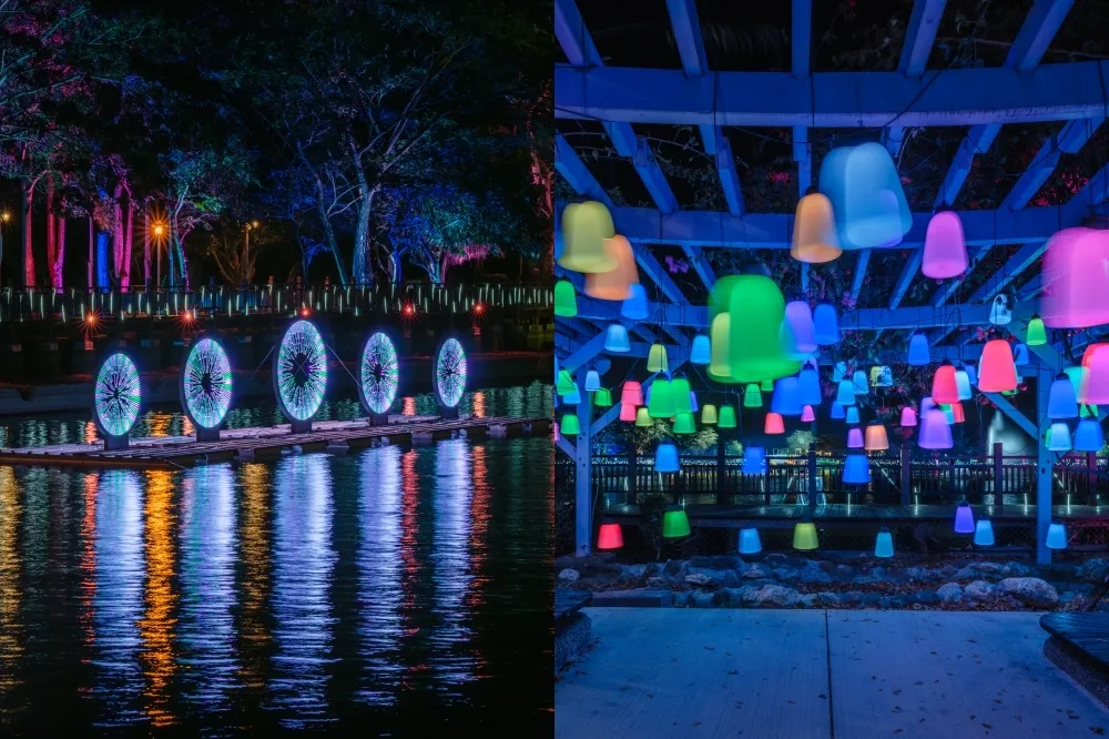 台南新營波光節絕美登場！天鵝湖公園「光影藝術裝置」夢幻亮相