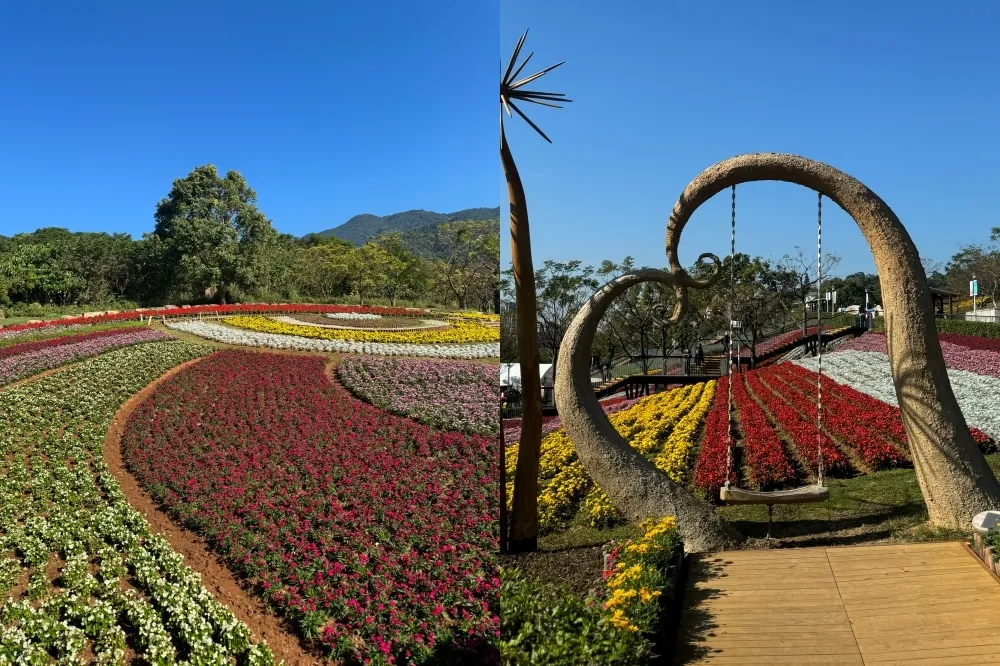 2024 北投三層崎花海登場！台版富良野浪漫回歸美到 3 月底　夢幻薰衣草同場爭艷