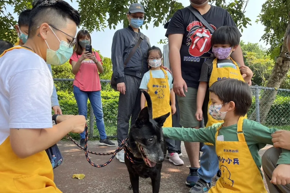 毛孩 7 歲就初老！新北「毛寶貝生命教育園區」開辦寵物長照課程　即日起免費報名