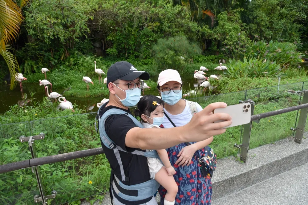 26年來首次漲價！北市動物園門票4/1調至100元　市民仍收60元