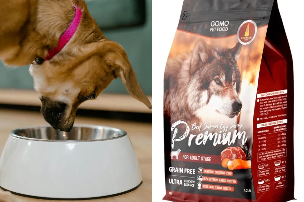 寵物也面臨食安問題！「GOMO PET FOOD」這款狗糧重金屬超標　農業部：停止使用