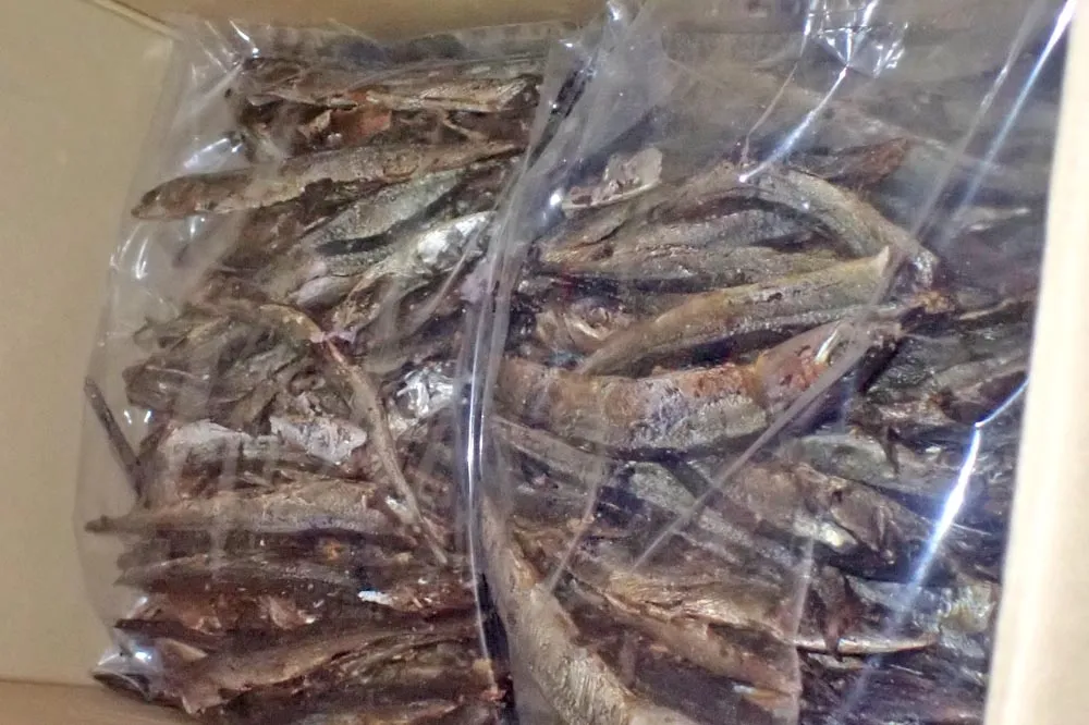 日本秋刀魚乾含一級致癌物超標近40倍　50公斤全退運銷毀