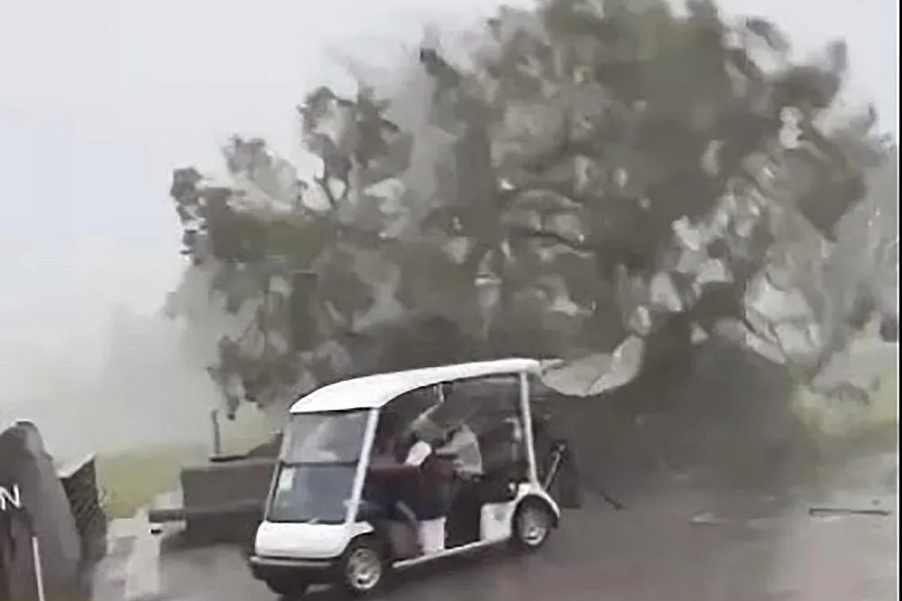 【暴雨片】狂風挾雷雨！竹北、雙北都傳停電　北市電線桿斷裂砸車