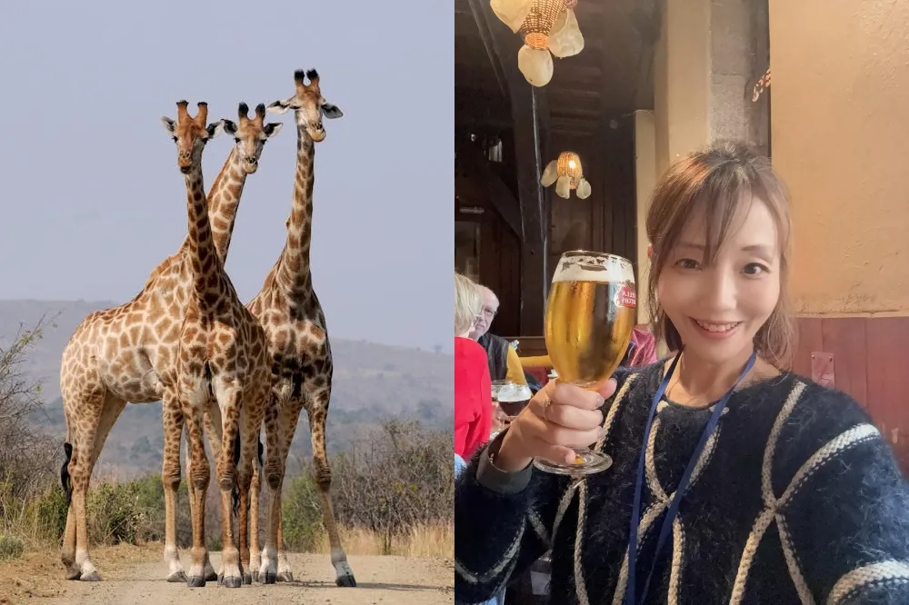 頑皮世界加告前主播李天怡夫婦涉詐欺　北檢另案偵查