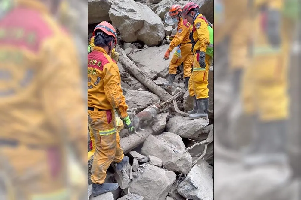 【花蓮7.2強震】砂卡礑布滿大小落石　搜救隊營救距3遺體剩200公尺　