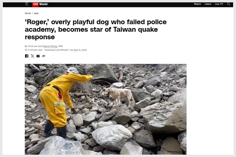 【有片】台灣搜救犬Roger震災立大功！登CNN首頁成國際犬明星