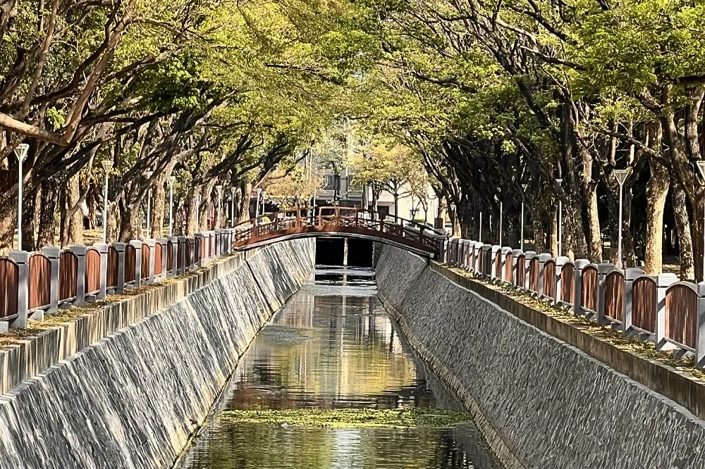 楠梓右昌大排水岸環境改造　高雄最美雨豆樹公園升級