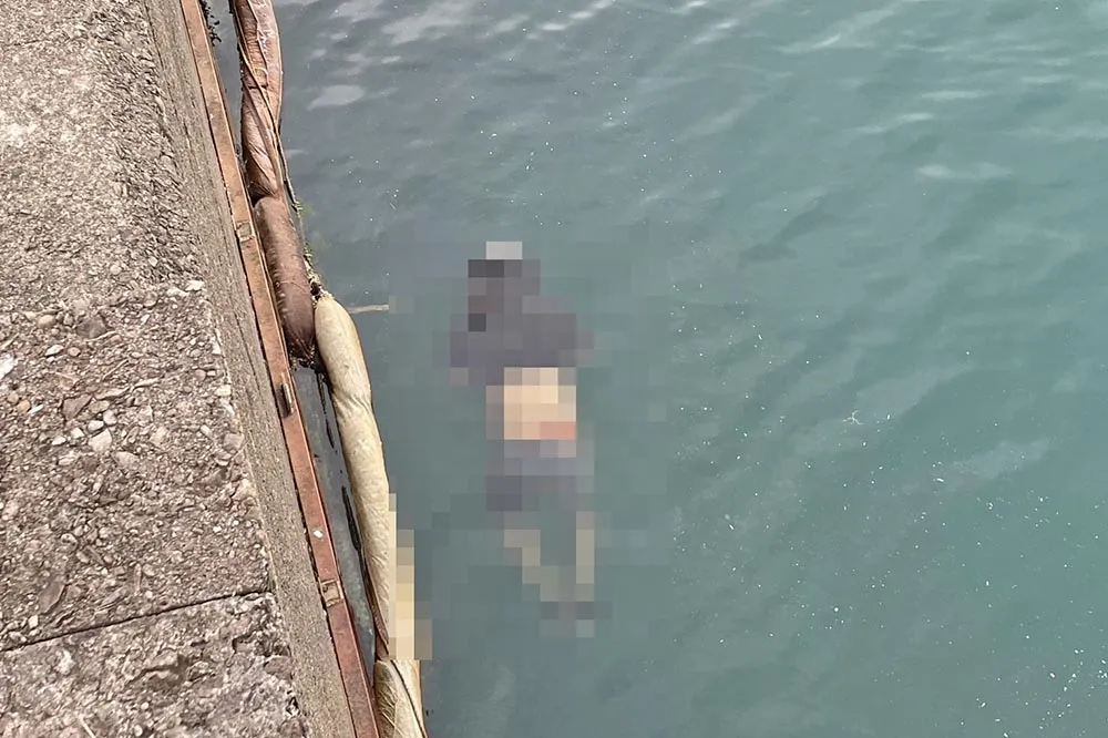 快訊／新北萬里核二廠出海口　男「雙腳捆綁、頭套塑膠袋」死亡