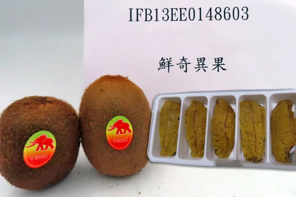 邊境攔截！中國進口奇異果17噸農藥超標　加拿大紫海膽卵檢出重金屬鎘