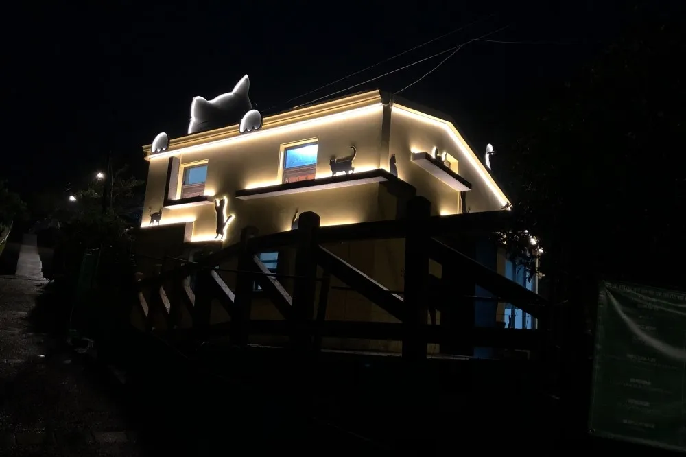 猴硐貓村越夜越可愛！貓公所籌備處換新裝、室內增設除濕機　為貓咪打造舒適環境