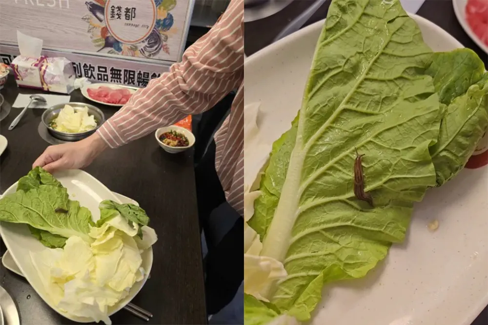 菜盤驚見「活蛞蝓」錢都致歉　北市衛生局派員稽查