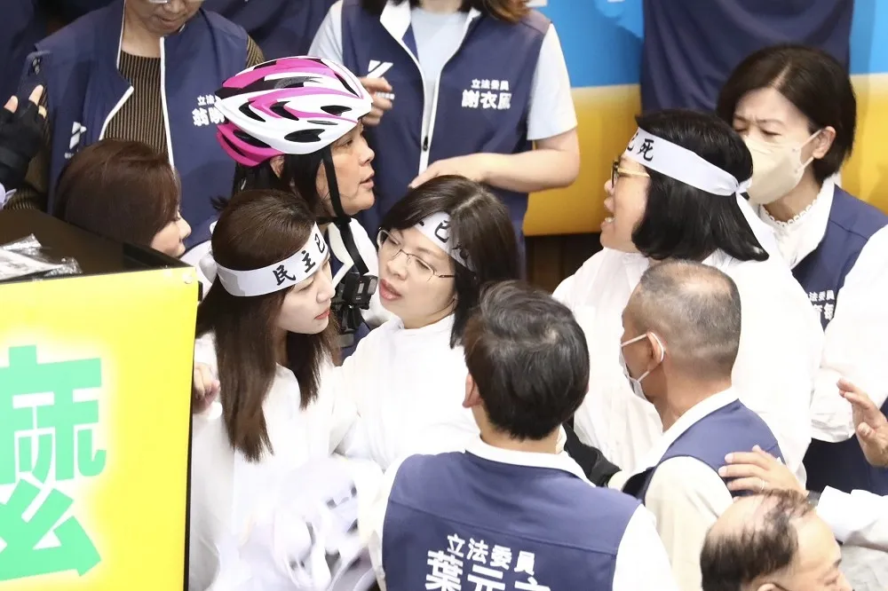 陳智菡轟對新住民委員動手很丟臉　林淑芬反批：現在是只能藍白打人？