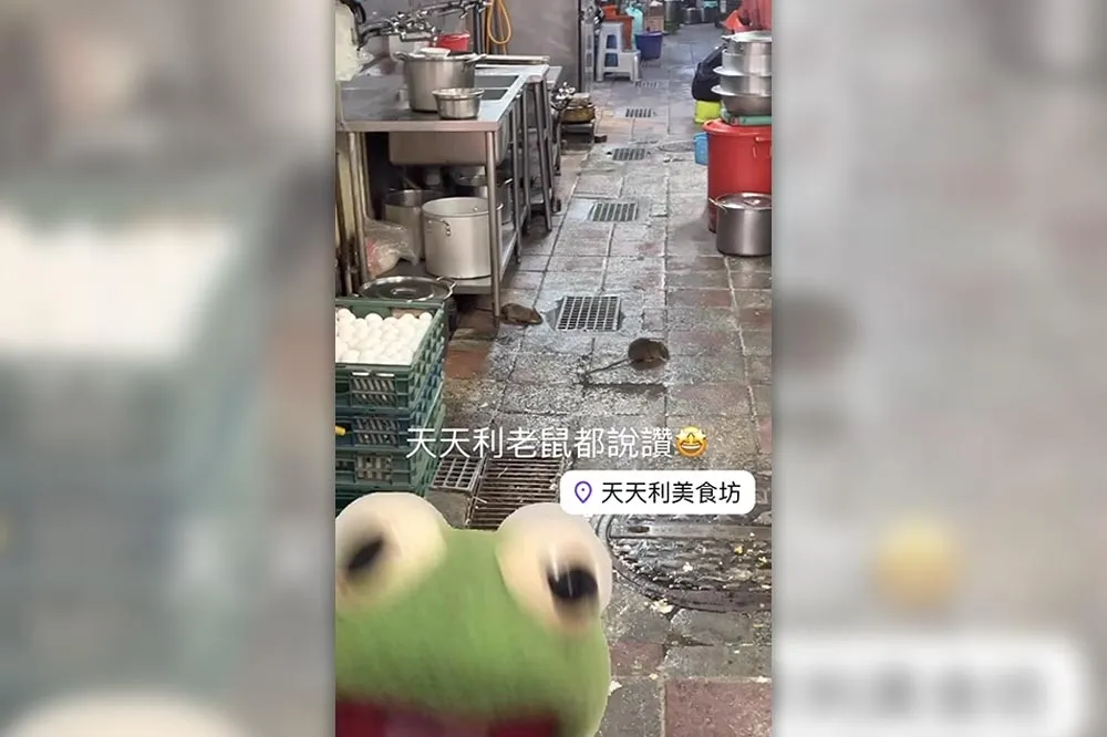 噁！西門町排隊名店「天天利、365小吃餐廳」　工作區驚見老鼠結伴覓食