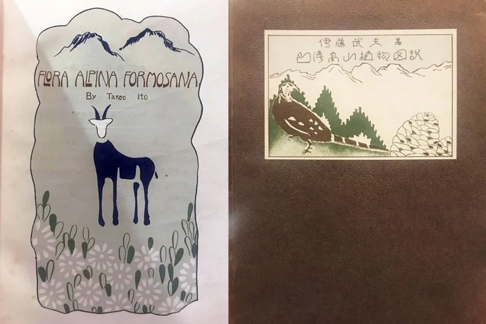 一百年前的山林踏勘：伊藤武夫《台灣高山植物圖說》