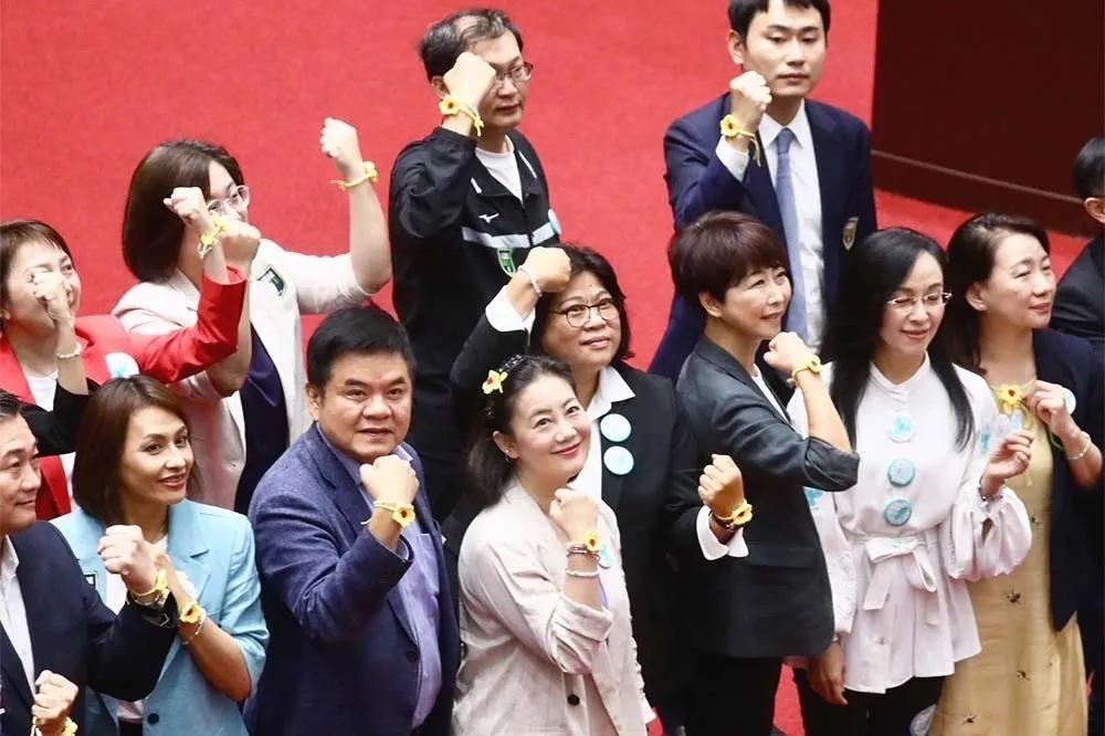 【圖輯】國會改革覆議案藍白聯手否決　綠黨團將提釋憲、暫時處分