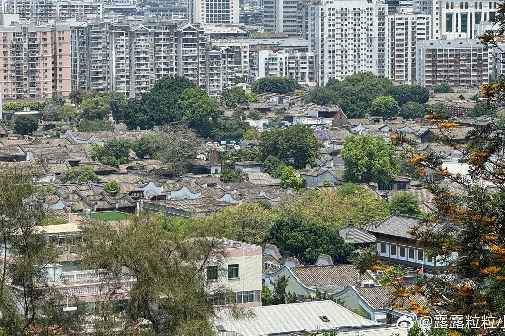 美資安公司曝中國大規模網攻台灣　逾70產官學機構恐受害