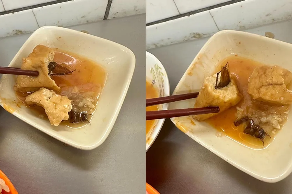 基隆廟口小吃店「天一香」驚見油豆腐包蟑螂　衛生局勒令停業改善