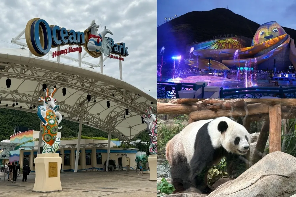 【有片】2024 香港海洋公園攻略！夜間限定光影盛夜水舞秀、年底「熊貓新成員」將登場