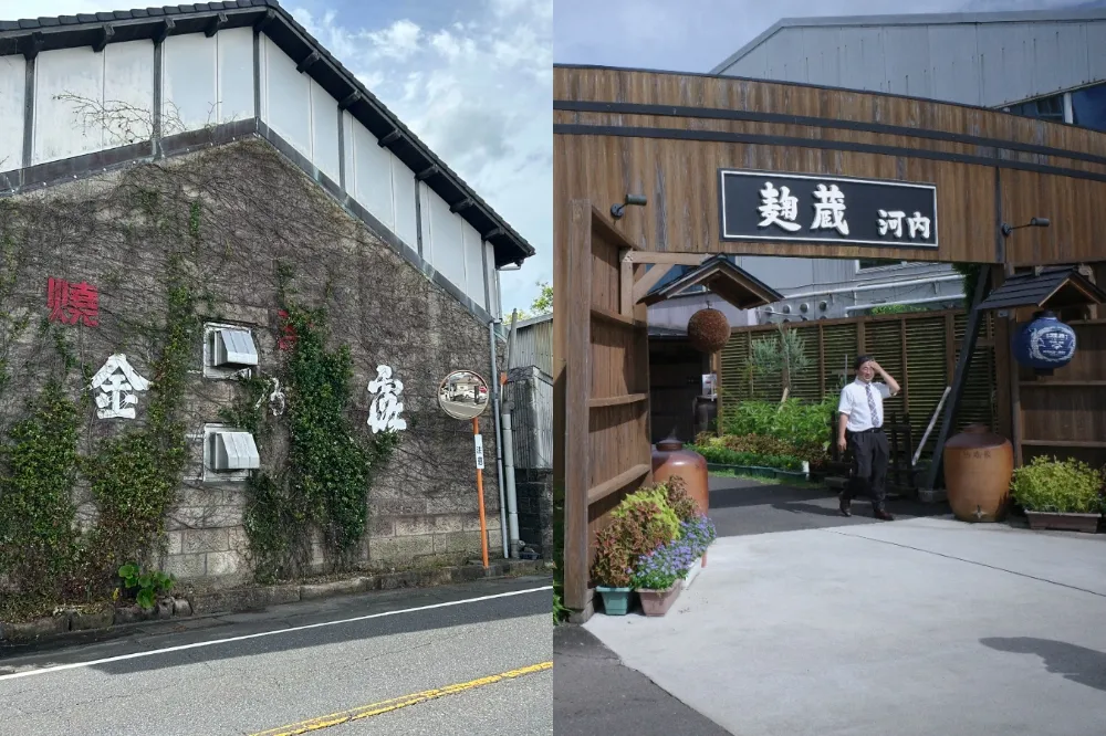 燒酎粉絲必去的燒酎王國 — 鹿兒島！西鄉隆盛也曾拜訪「白金酒造」、近代燒酎之父創立「河內菌本舖」