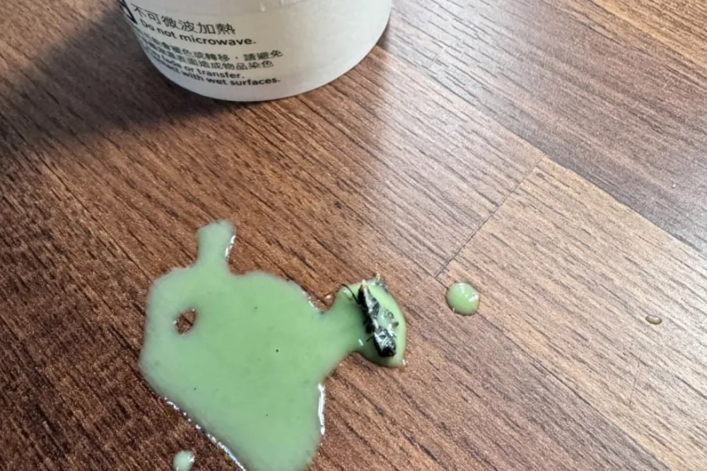 喝星巴克喝到蒼蠅和成堆死蛆　女網友噁心染急性腸胃炎　