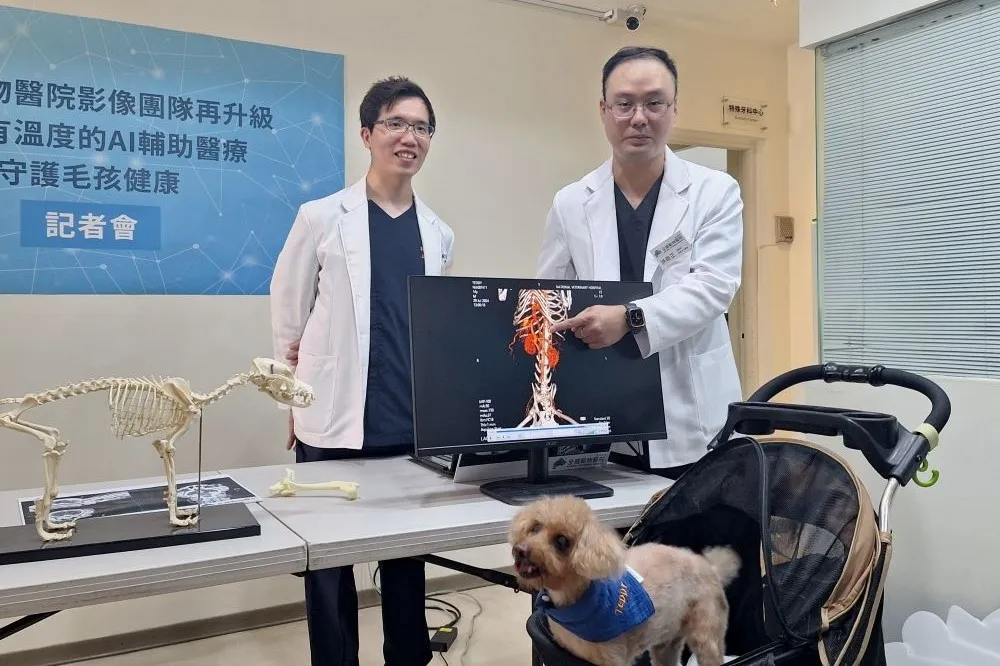 守護毛孩健康也有AI輔助  全國動物醫院影像團隊導入有溫度的斷層掃描儀